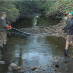 BHS students wade into Flint Creek to measure the width of the stream as a part of the physical monitoring process. 